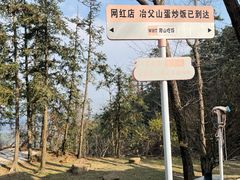-冶父山国家森林公园