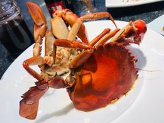 香煎红鲟-王庄阿咪海鲜大排档(象园店)