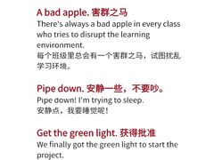 -菠萝国际教育留学·AL·IG·IB·AP·雅思托福(静安校区)