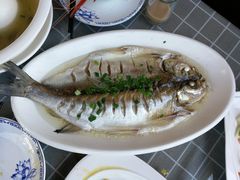 -古尚锦酒楼·水上餐厅