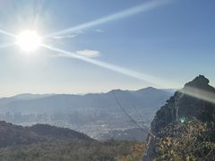 -长虫山生态公园风景林