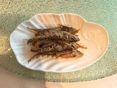 -上海国际饭店