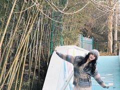 -日照海滨国家森林公园