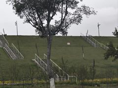 -佛手湖郊野公园