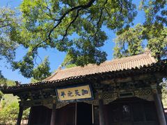 -晋祠公园
