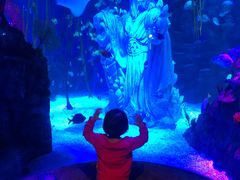 -沈阳海洋探索中心