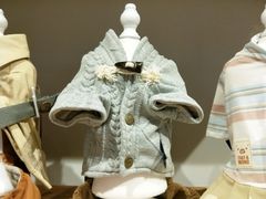 -狗道宠物(常熟印象城店)