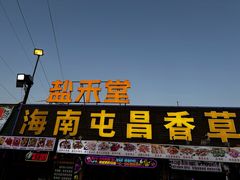 -盐禾堂海南屯昌香草鸭(海润路总店)