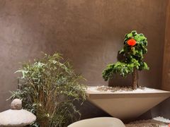 -阿露佳·舌尖上的安吉菜