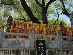 -大槐树寻根祭祖园