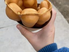 -秀丽东方