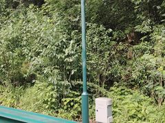 -十里画廊