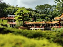 -深圳仙湖植物园
