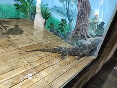 -石家庄市动物园