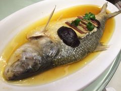 清蒸鲥鱼-圆苑(上海广场店)