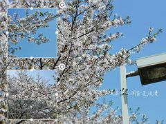 -白塘生态植物园
