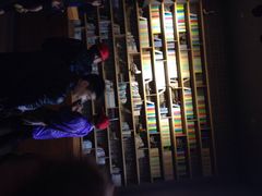 iphone_upload_pic-溱湖国家湿地公园