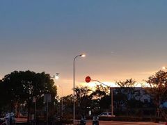 -春花秋色城市公园