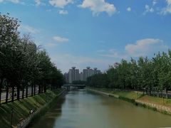 -北京大学肿瘤医院