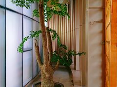 -徐鼎盛民间菜(奥体店)