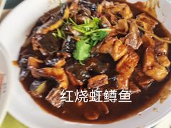 虹鳟-京北渔家傲