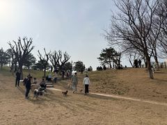 -小意思咖啡店(草桥店)