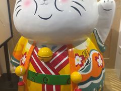 -屋虎猫馆(宝安大仟里店)