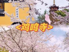 -回味鸭血粉丝汤(夫子庙瞻园路店)