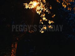 -灶丰年间(定安路店)