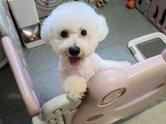 -熊小胖宠物生活馆(天华园店)