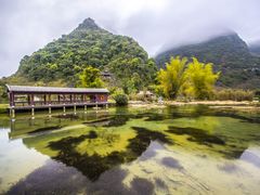 -靖西鹅泉风景区