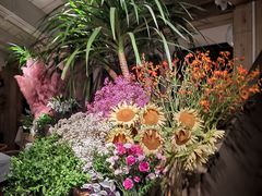 -春暖花开(西溪店)