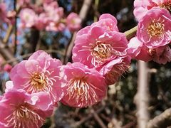 -静安雕塑公园