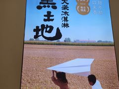 -野人先生现做冰淇淋(深圳壹方城店)