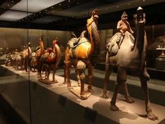 -西安大唐西市博物馆