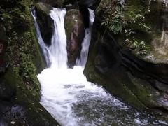 -黑河国家森林公园