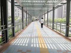 -顺悦酒家(嘉信城市广场店)