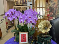 -陈记烧鹅茶餐厅(世和路店)