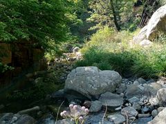 -秦岭风景区