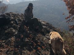 -玉泉威虎山森林公园