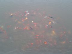 -北京小汤山医院体检中心