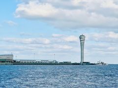 -上海吴淞炮台湾国家湿地公园