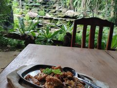 -绿光森林餐厅