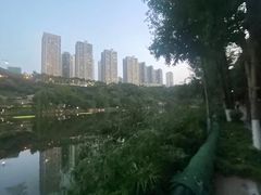 -重庆彩云湖湿地公园