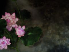 -碧露轩·大益茶体验馆(镇江路店)