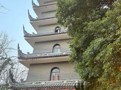 -生宇山珍野生菌汤锅•始于1999(双流古塔店)
