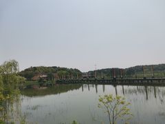 -道林古镇