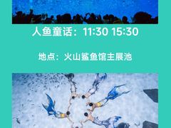 -上海海昌海洋公园