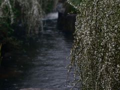 -中国茶叶博物馆(双峰馆区)