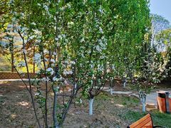 -元大都城垣遗址公园